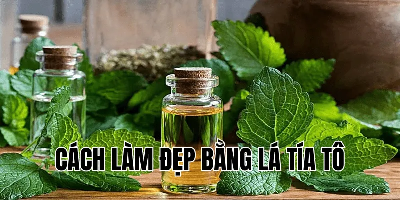 cách làm đẹp bằng lá tía tô