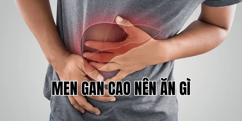 men gan cao nên ăn gì