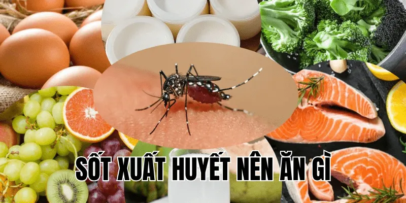 sốt xuất huyết nên ăn gì