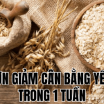 thực đơn giảm cân bằng yến mạch trong 1 tuần